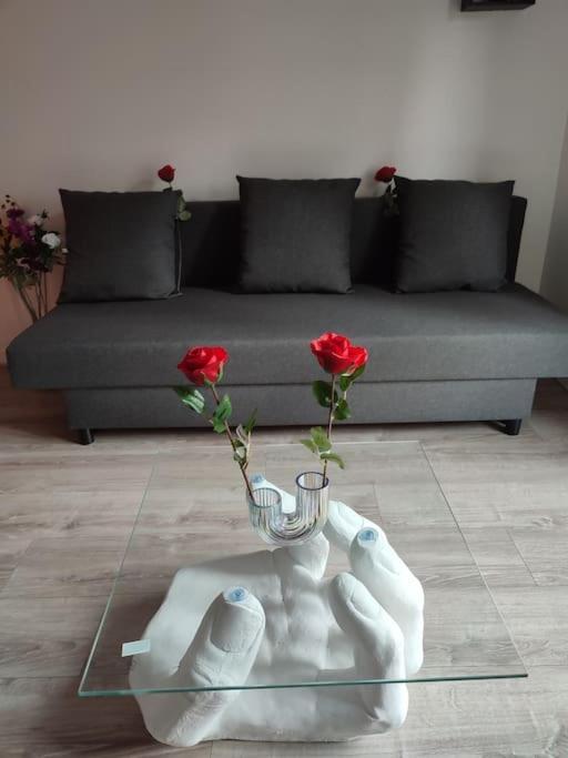 Evry Evasion Charme Calme Apartment Courcouronnes Ngoại thất bức ảnh